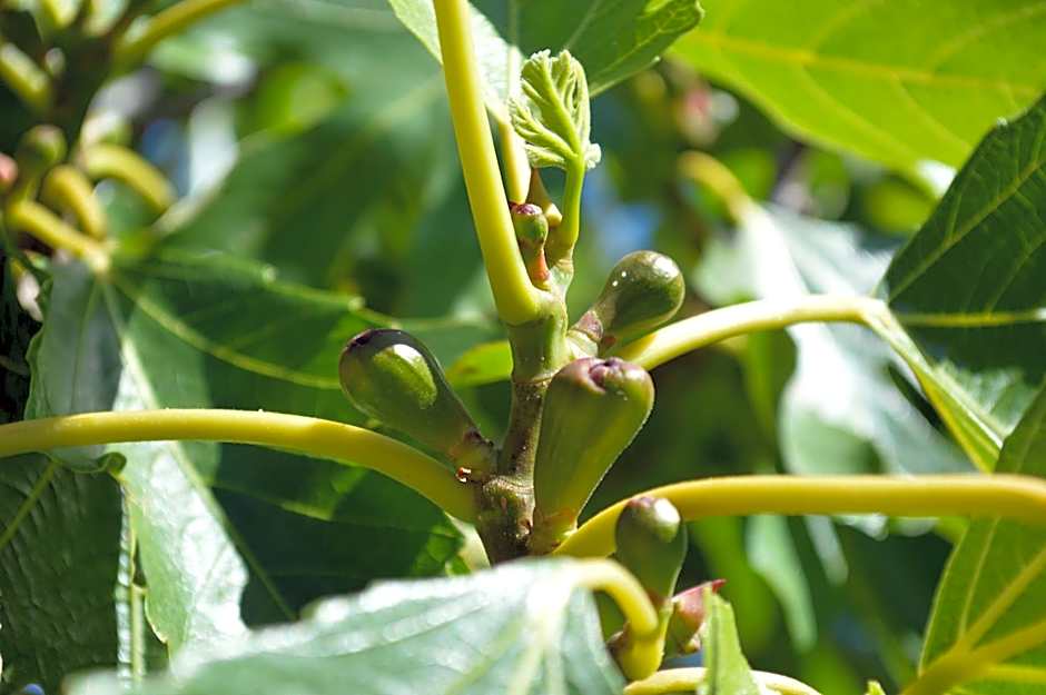 Résidence Saint Michel