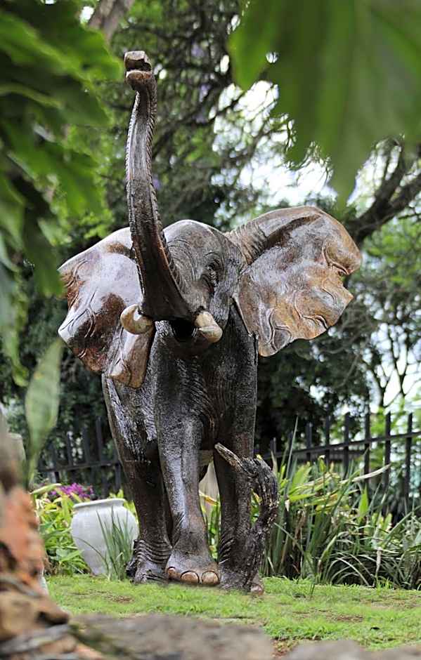 Villa Ticino Guest House