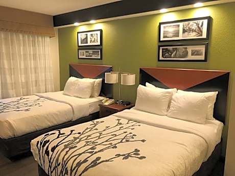 Double Room - Non-Smoking