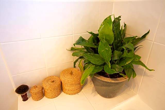 Palm Garden Papamoa Beach Paradise