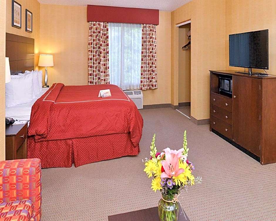 Quality Suites Stratford