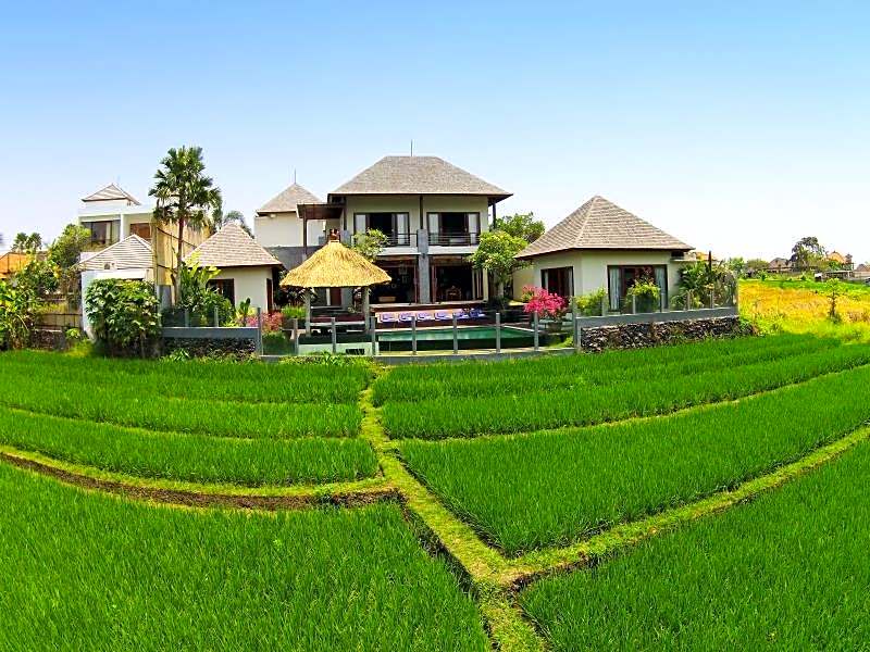 Jabunami Villa