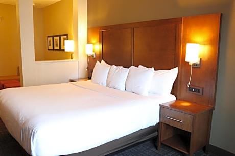 King Suite with Roll-In Shower - Accessible/Non-Smoking