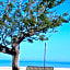 I Tesori del Mare