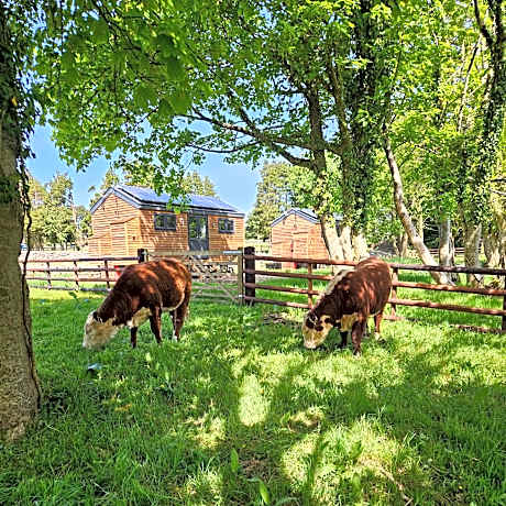 Woodland Shepherds Hut - 'Saga'