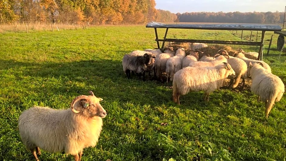 boerderijkamer Zwanebloem