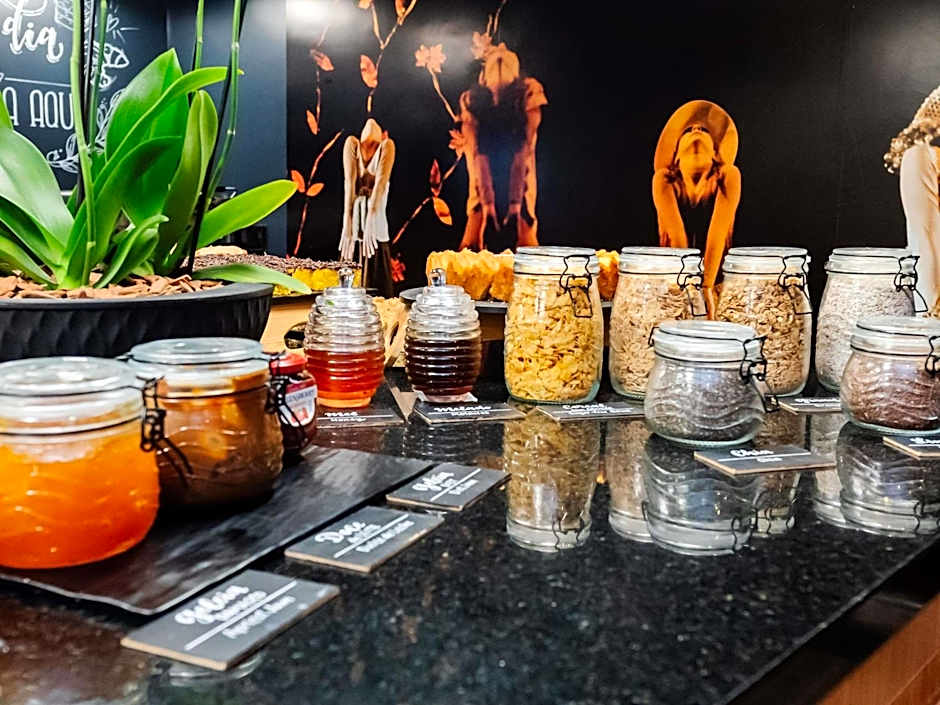 Ibis Joinville