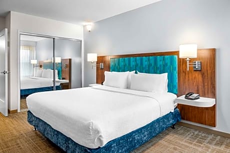 1 King Bed 1 Bedroom Suite Nonsmoking