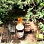Rumah Turi Green Boutique Hotel