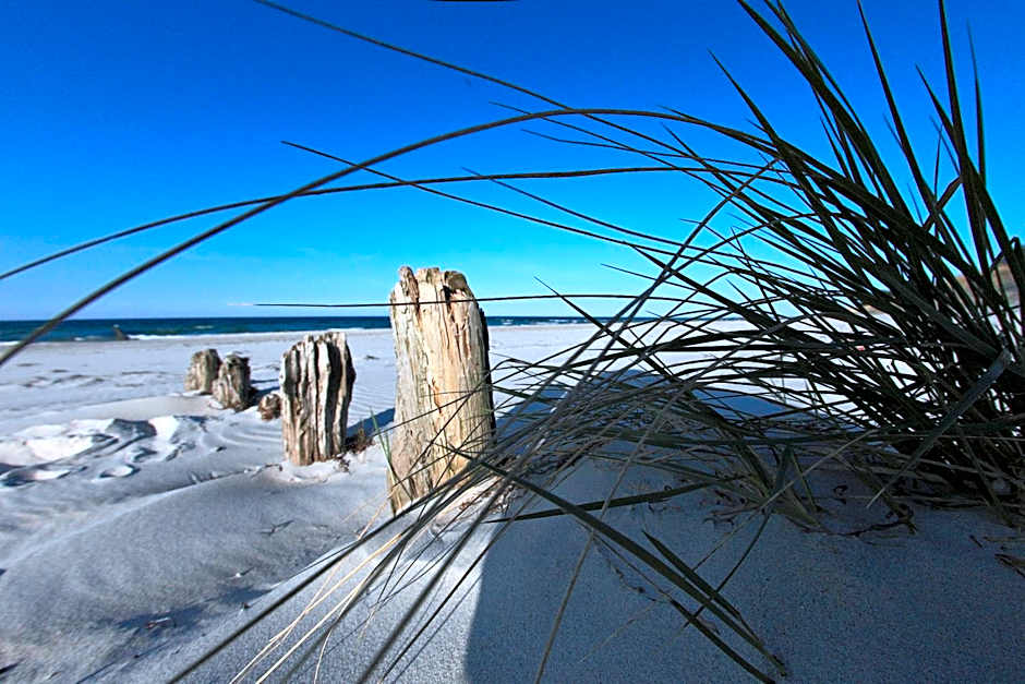 THE GRAND Ahrenshoop