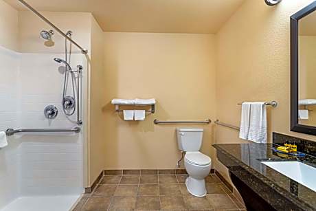 1 King Mobility Accessible Communication Assistance Roll In Shower NSMK Full Breakfast