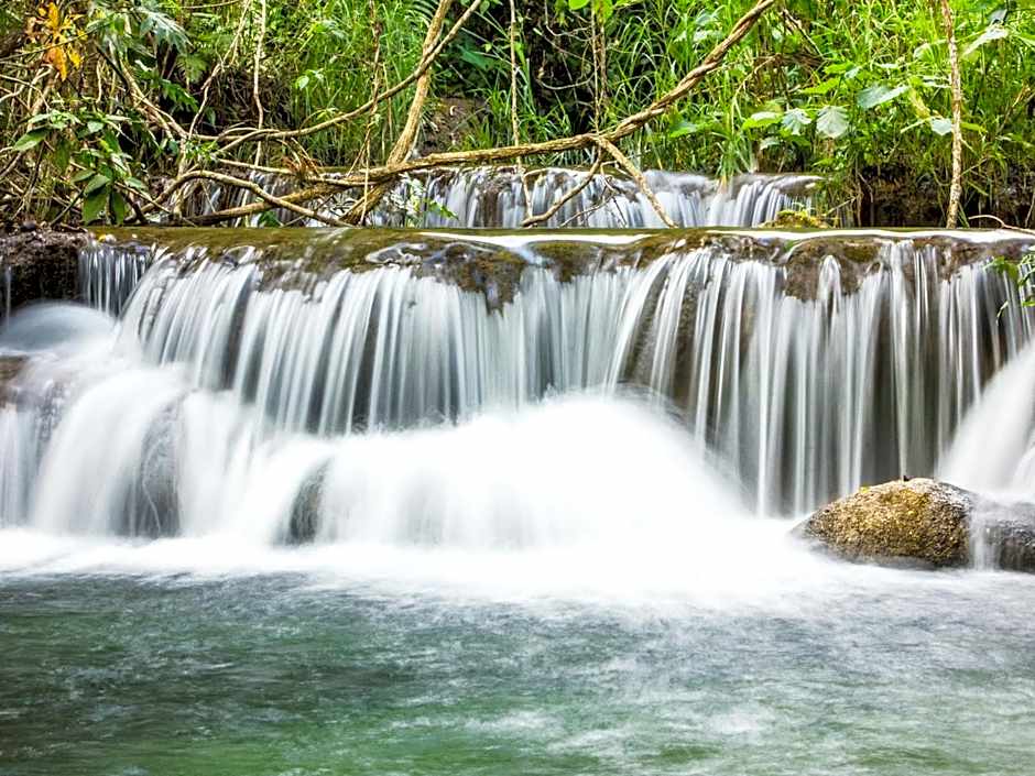 Reserva Ecologica Vive Copalitilla