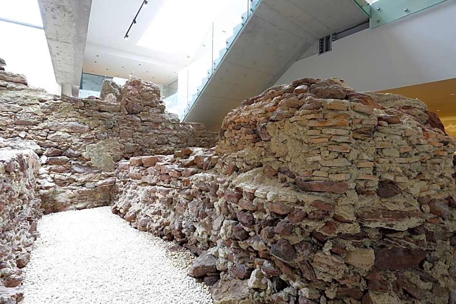 Montebelo Vista Alegre Ílhavo Hotel