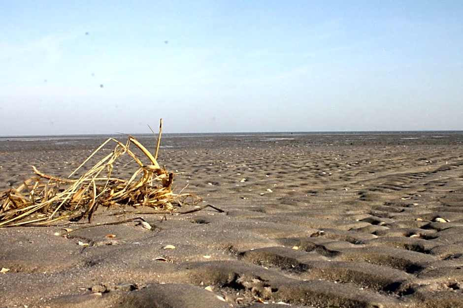 Hotel Schwarzer Adler Jever