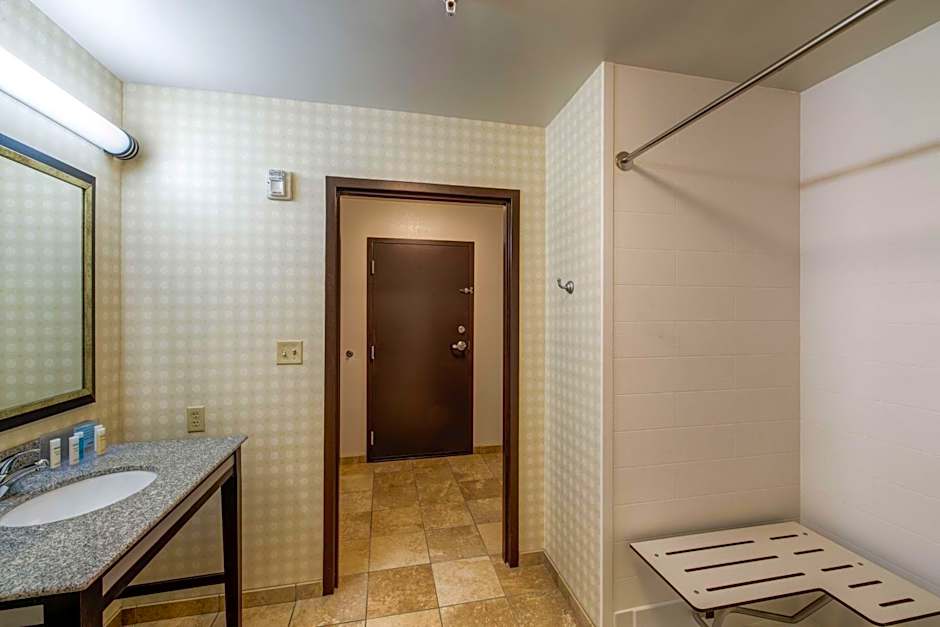 Hampton Inn By Hilton And Suites Detroit/Airport-Romulus