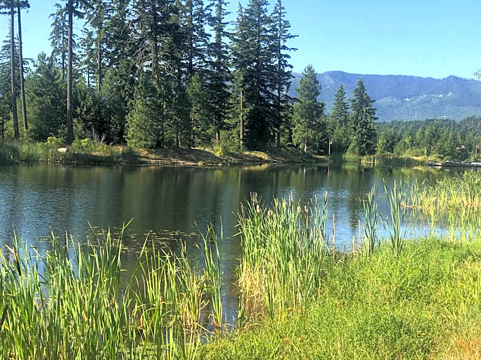 The Best LUXURY RIVER VIEW FULL APARTMENT Lodge Unit - 5049