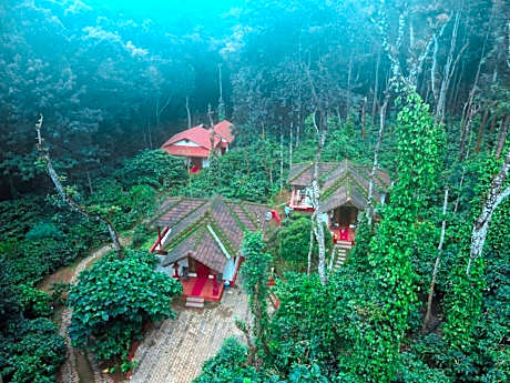 Natura Vista Plantation stay