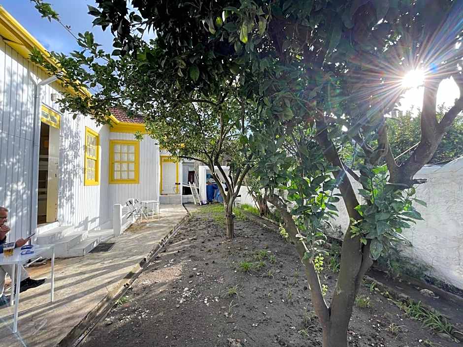 Owls Hostel Ildefonso