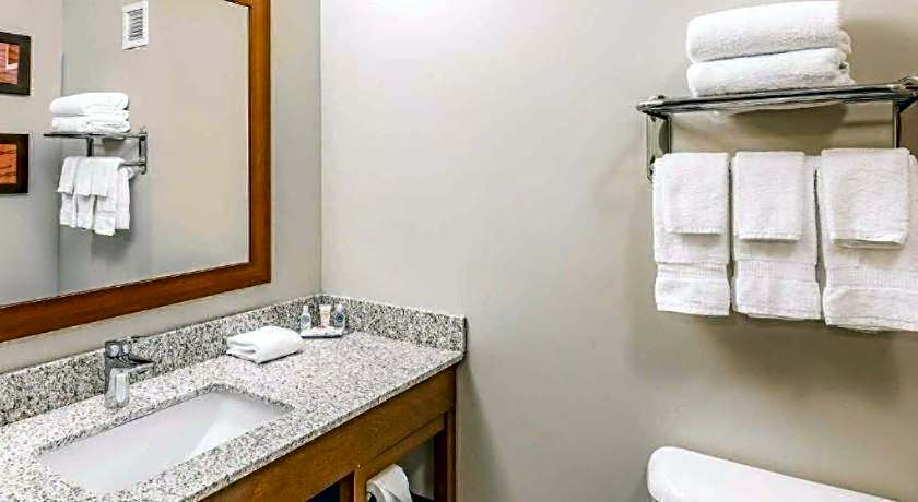 Quality Inn Bessemer I-20 exit 108
