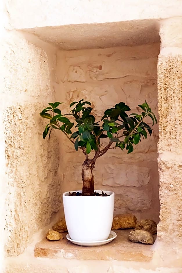 Vincent Suite Luxury B&B