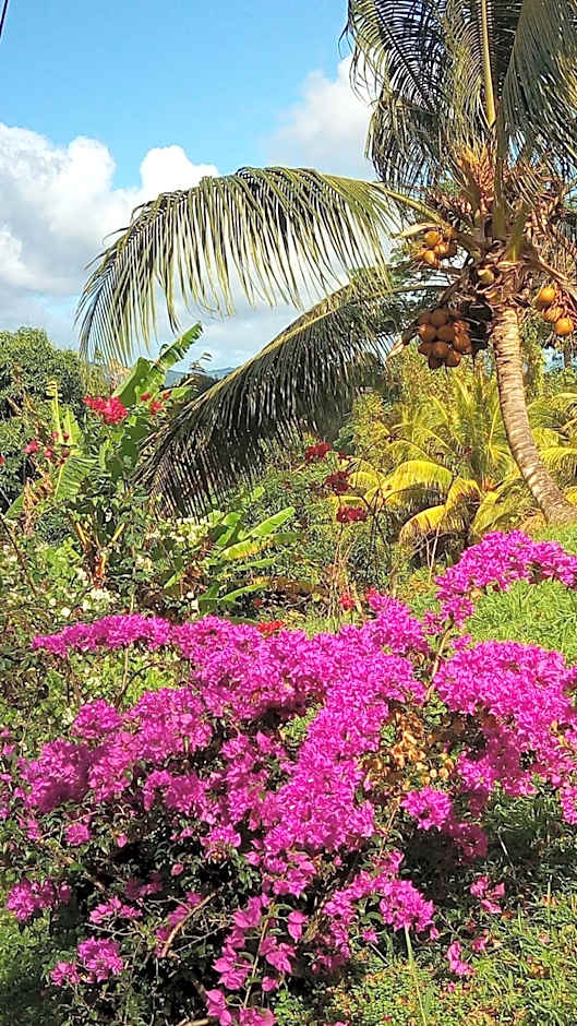 Havre de paix à Fort de France