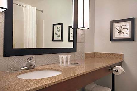 One-Bedroom King Suite - Non-Smoking