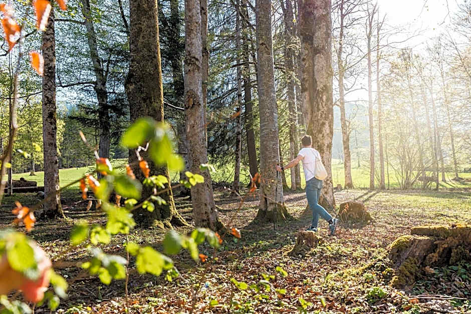 Naturhotel Schloss Kassegg