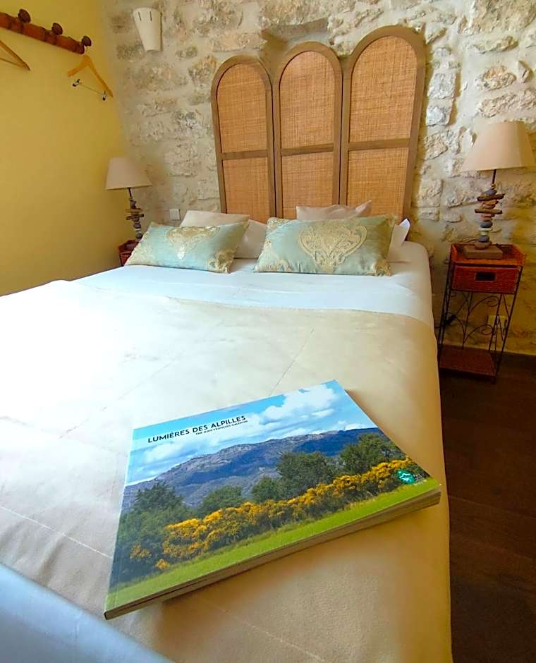 Hôtel Mas Vidau Porte des Alpilles