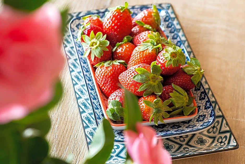 Residence Casa e Vela