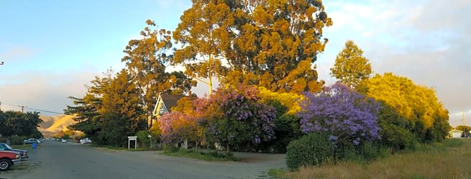 Kaleidoscope Inn & Gardens