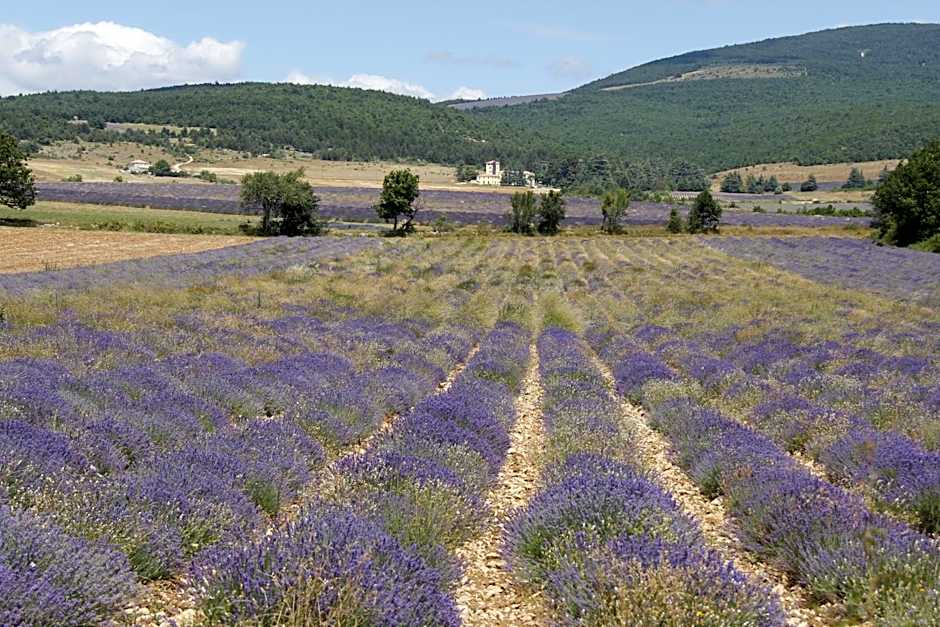 Château de la Gabelle Férrassières