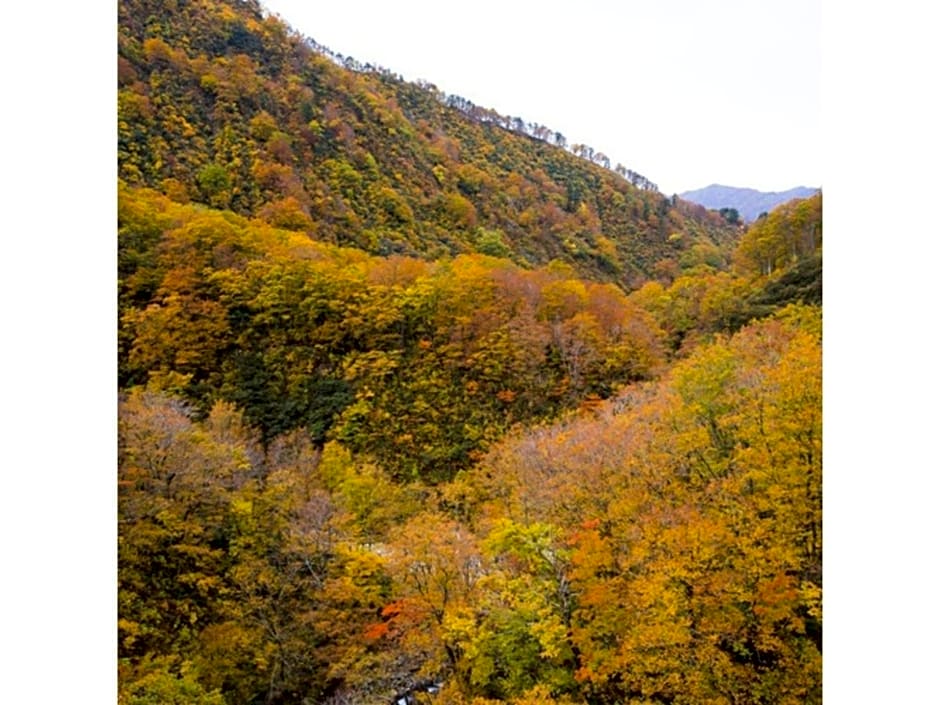 Shintainai Onsen Royal Tainai Park Hotel - Vacation STAY 90212v