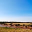 Mara Intrepids Tented Camp