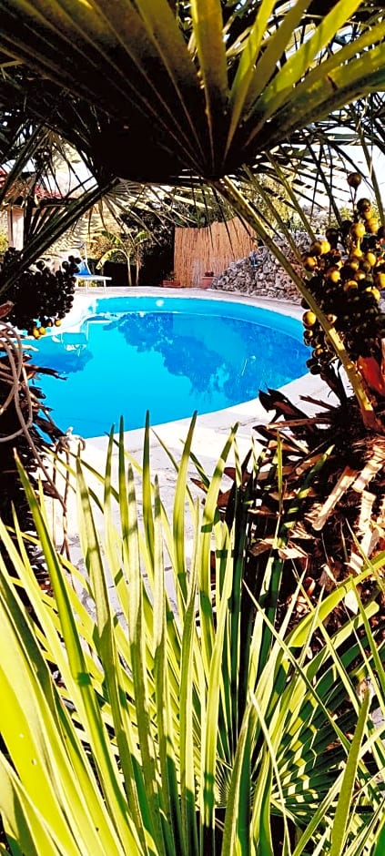 B&B Stars and Stripes