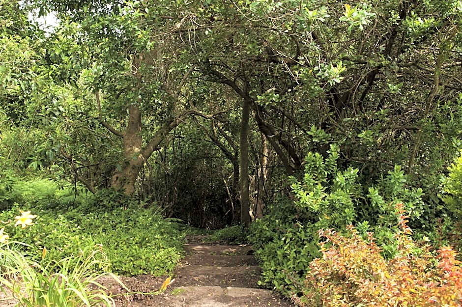 ArendsRus Country Resort