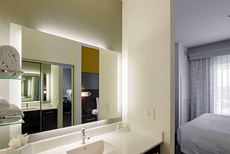 Studio, 1 King Bed with Sofa bed (1 King Bed and 1 Double Sofa Bed)