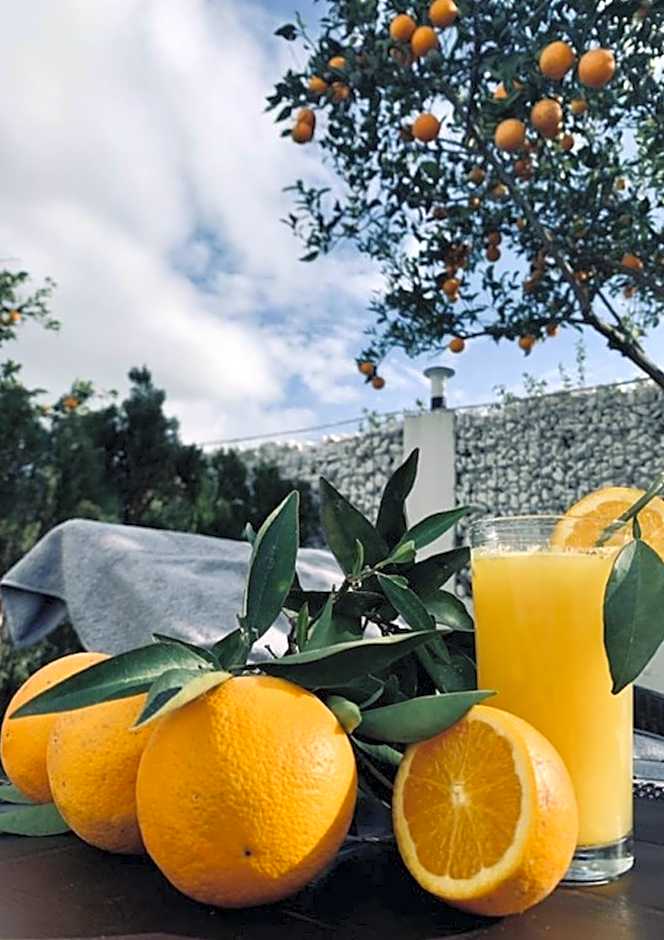 Side Mira Palace & Spa