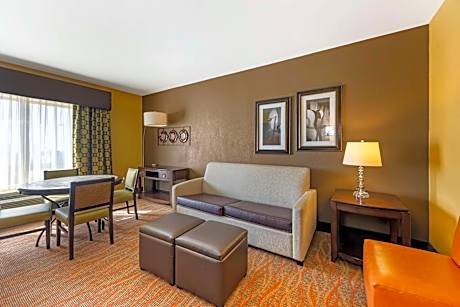 Suite-1 King Bed, Non-Smoking, Separate Bedroom, 37 Inch Lcd Television, Microwave And Refrigerator,