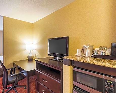 1 King Bed Suite Nonsmoking Accessible