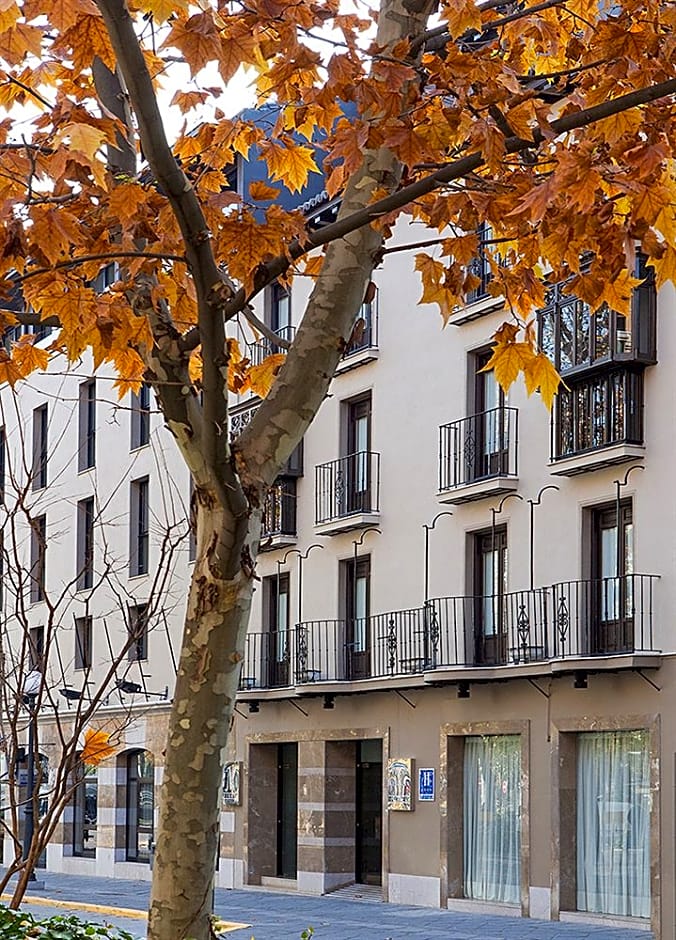 Vincci Albayzin Hotel