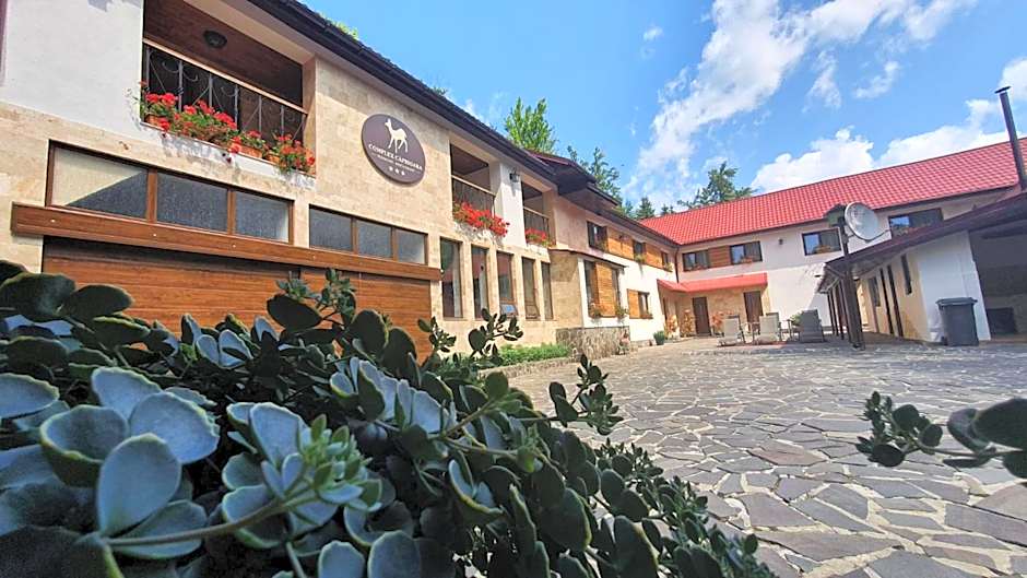 Complex Turistic Caprioara