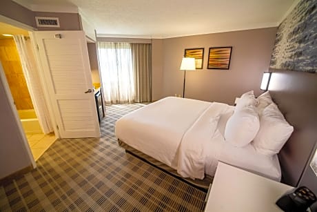 Nonsuite-1 King Bed