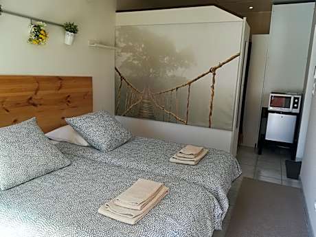 Double or Twin Room with Private Bathroom