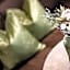 Boutique & Fashion Hotel Maciaconi - Gardenahotels