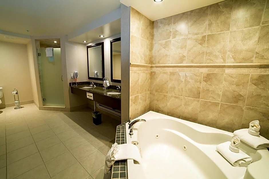 Holiday Inn Hotel & Suites-West Edmonton By IHG