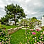 The Olive Tree Hotel