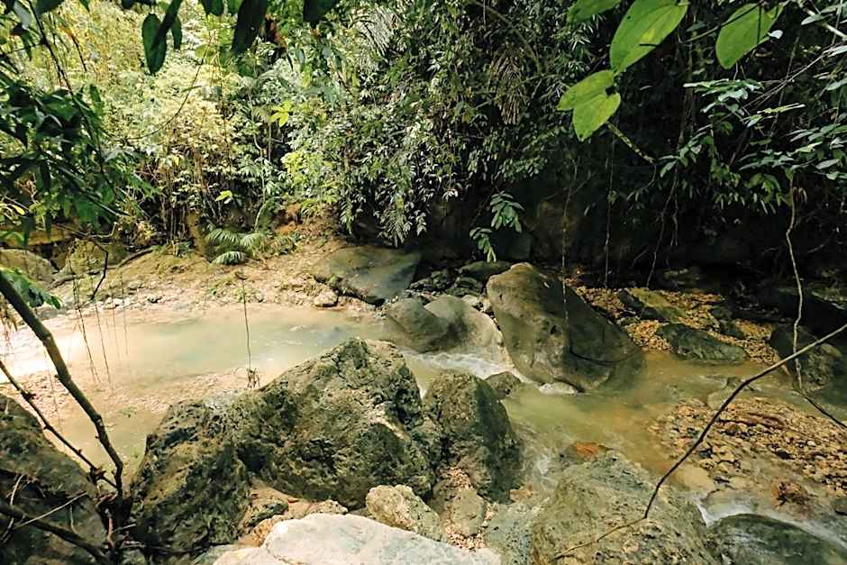 Treehouse de Valentine