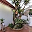 Diodorus Luxury Experience