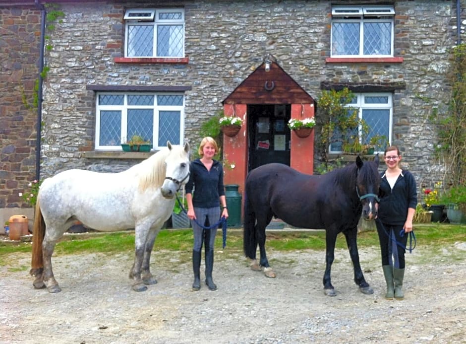 Five Saints Farmhouse B&B