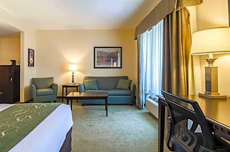 1 King Bed, Suite, Nonsmoking